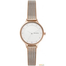 Наручные часы Skagen Anita SKW2749