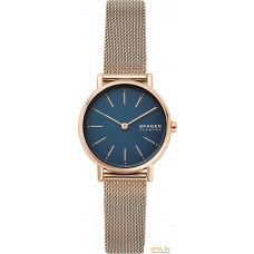 Наручные часы Skagen SKW2837