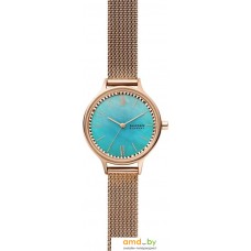 Наручные часы Skagen Anita SKW2977