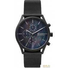 Наручные часы Skagen Holst SKW6651