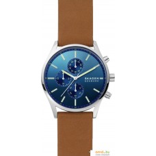 Наручные часы Skagen Holst SKW6732