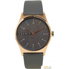 Наручные часы Esprit ES1G034L0035