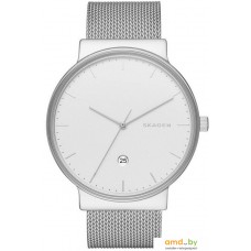 Наручные часы Skagen SKW6290