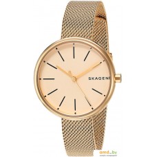 Наручные часы Skagen SKW2614