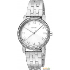 Наручные часы Esprit Mari ES1L282M0045