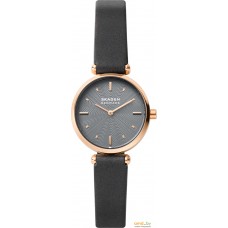 Наручные часы Skagen Amberline SKW2995