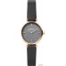 Наручные часы Skagen Amberline SKW2995. Фото №1