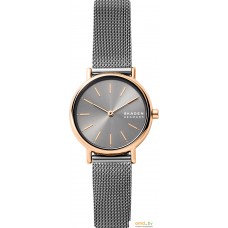 Наручные часы Skagen Signatur SKW2996