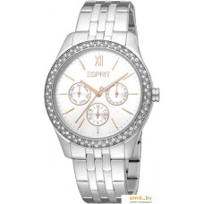 Наручные часы Esprit ES1L201M1015