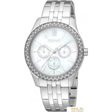 Наручные часы Esprit ES1L201M1065