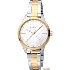 Наручные часы Esprit ES1L259M4075