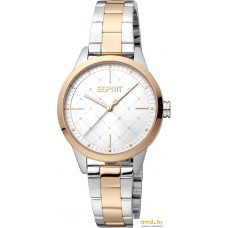 Наручные часы Esprit ES1L259M4085