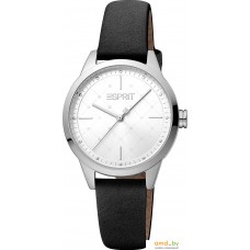 Наручные часы Esprit ES1L259P4015