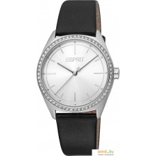 Наручные часы Esprit ES1L289L0015