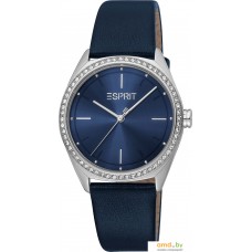 Наручные часы Esprit ES1L289L0025