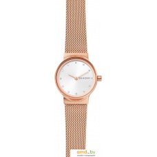 Наручные часы Skagen SKW2665