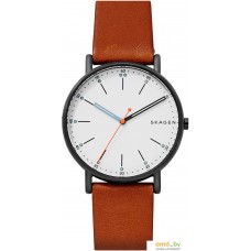 Наручные часы Skagen SKW6374