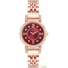 Наручные часы Anne Klein 2928BYRG