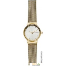 Наручные часы Skagen SKW2717