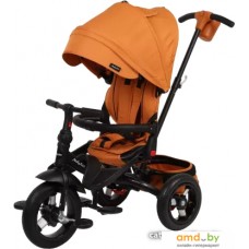 Детский велосипед Moby Kids Leader 360° 12x10 AIR (коричневый)