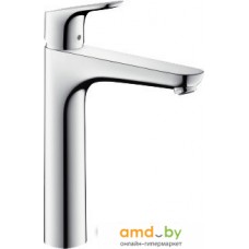 Смеситель Hansgrohe Focus E2 31608000