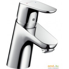 Смеситель Hansgrohe Focus 31733000