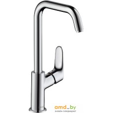 Смеситель Hansgrohe Focus E2 31609000