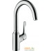 Смеситель Hansgrohe Focus M43 71812000 (хром). Фото №1