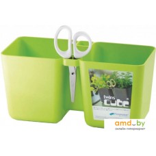 Prosperplast Twins Cube DTC245-389U (зеленый)