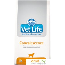 Сухой корм для собак Farmina Vet Life Convalescence Dog 2 кг