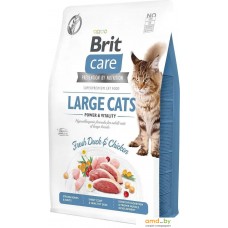 Сухой корм для кошек Brit Care GF Large Cats Power & Vitality 2 кг