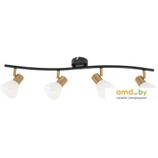 Спот Arte Lamp Falena A3117PL-4BK