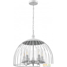 Подвесная люстра Vele Luce Florian VL5061P05