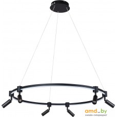 Подвесная люстра Arte Lamp Ring A2186SP-1BK