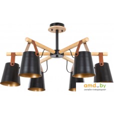 Люстра средней высоты Arte Lamp Thomas A7032PL-6BK