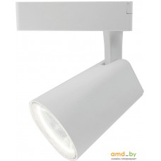 Трековый светильник Arte Lamp Amico A1830PL-1WH