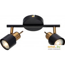 Спот Arte Lamp Almach A1906PL-2BK