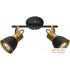 Спот Arte Lamp Jovi A1677PL-2GO