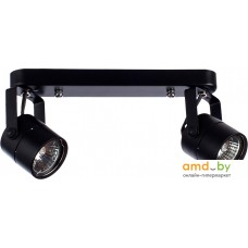 Спот Arte Lamp Mizar A1311PL-2BK