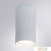 Точечный светильник Arte Lamp Fang A5557PL-1WH. Фото №2