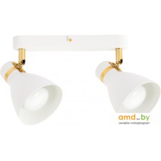 Спот Arte Lamp Fafnir A5047PL-2WH