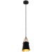 Светильник Arte Lamp Thomas A7032SP-1BK. Фото №2