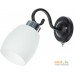 Бра Arte Lamp Krit A4505AP-1BK. Фото №1