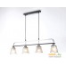 Подвесная люстра Ambrella light TR TR303244. Фото №2