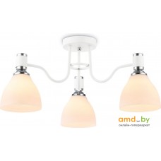 Люстра средней высоты Ambrella light TR TR303302