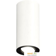 Точечный светильник Ambrella light Techno spot XS7442002 SWH/PBK