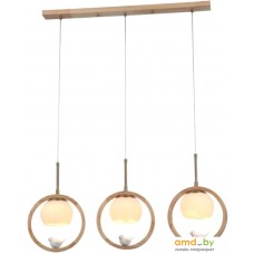 Подвесная люстра Arte Lamp Caprice A4182SP-3BR