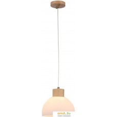 Подвесная люстра Arte Lamp Caprice A4184SP-1BR