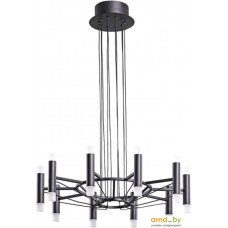 Подвесная люстра Arte Lamp Empire A2482SP-20BK