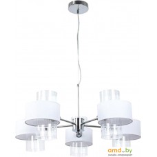 Подвесная люстра Arte Lamp Fantasia A4076LM-5CC